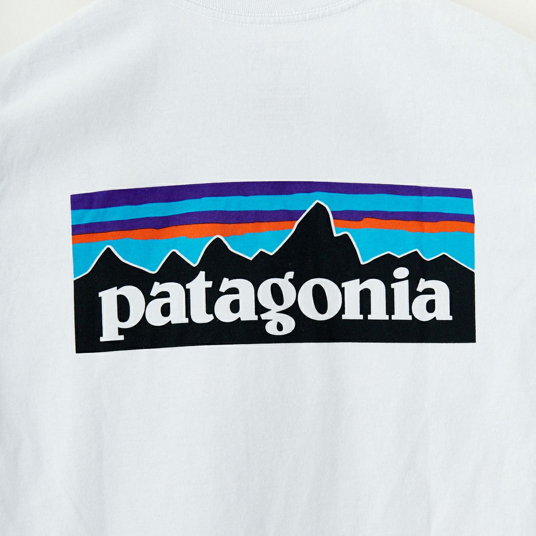 patagonia [パタゴニア] メンズ P-6ロゴ レスポンシビリティーTシャツ [38504] WHI