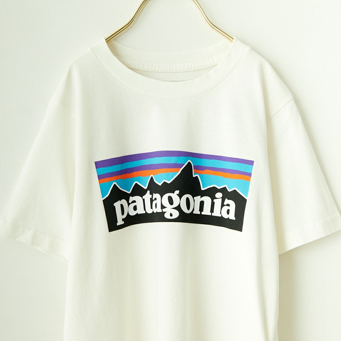 patagonia [パタゴニア] キッズ P-6ロゴTシャツ [62148]