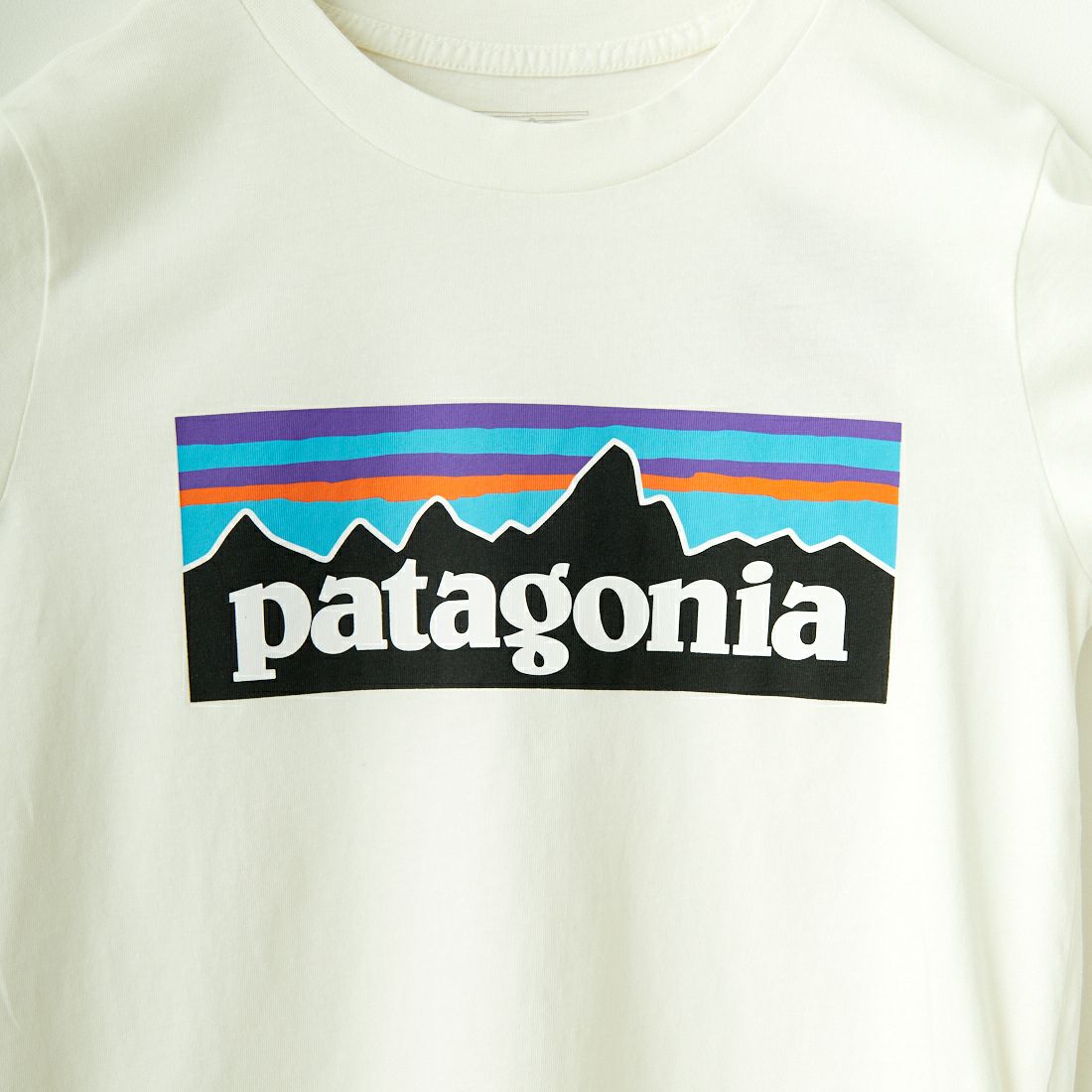 patagonia [パタゴニア] キッズ P-6ロゴTシャツ [62148] BCW