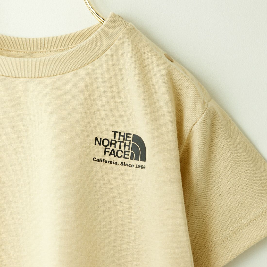 THE NORTH FACE [ザ ノースフェイス] ショートスリーブヒストリカルロゴTシャツ [NTB32356] GL