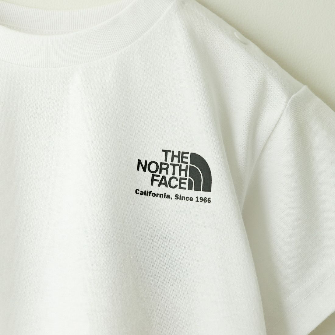 THE NORTH FACE [ザ ノースフェイス] ショートスリーブヒストリカルロゴTシャツ [NTB32356] W
