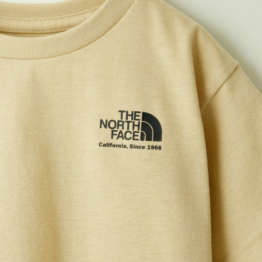 THE NORTH FACE [ザ ノースフェイス] キッズショートスリーブヒストリカルロゴTシャツ [NTJ32356] GL