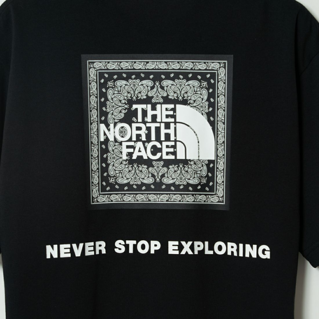 THE NORTH FACE [ザ ノースフェイス] ショートスリーブ バンダナスクエアロゴTシャツ [NT32446] K