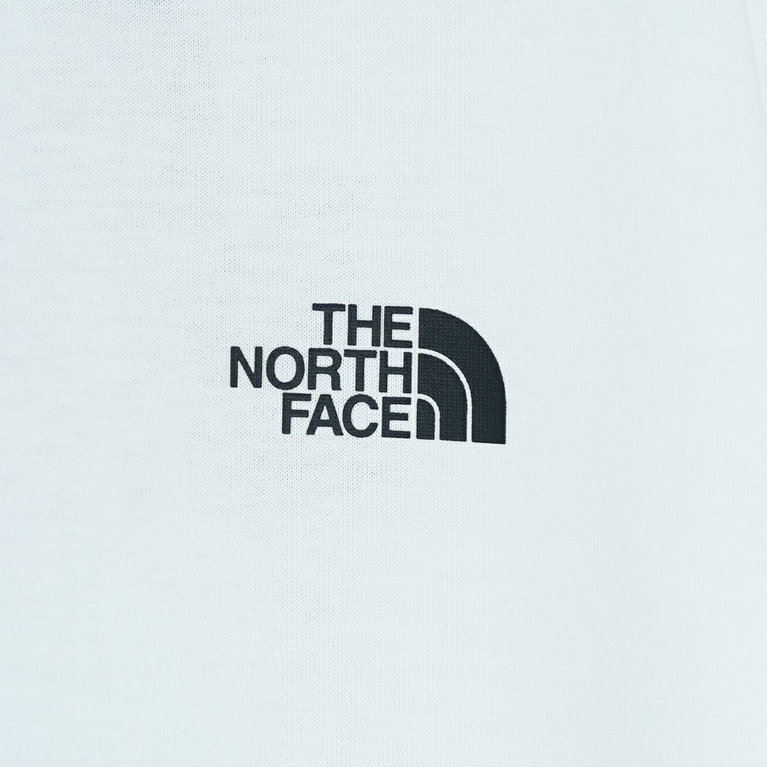 THE NORTH FACE [ザ ノースフェイス] ショートスリーブ バンダナスクエアロゴTシャツ [NT32446] W2