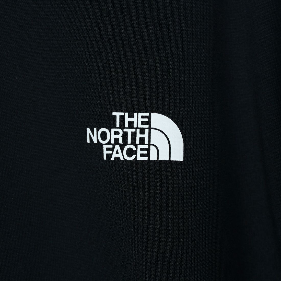 THE NORTH FACE [ザ ノースフェイス] ショートスリーブ バンダナスクエアロゴTシャツ [NT32446] K2