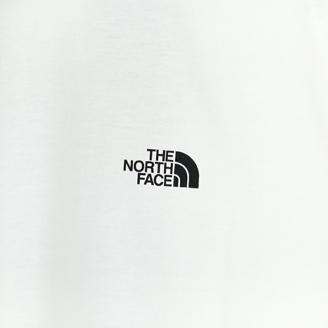 THE NORTH FACE [ザ ノースフェイス] ショートスリーブ バックスクエアロゴTシャツ [NT32447] W2