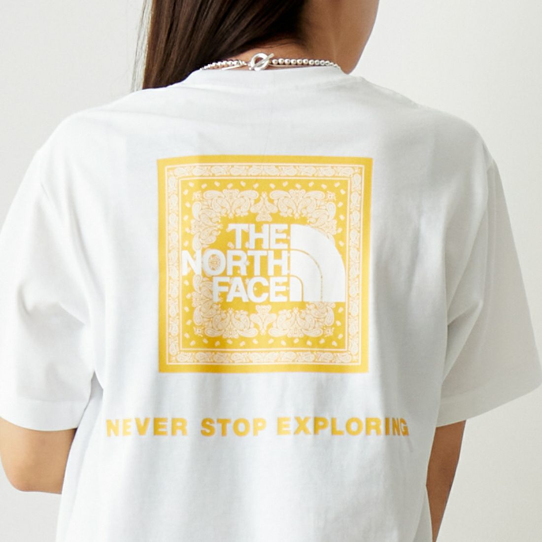 THE NORTH FACE [ザ ノースフェイス] ショートスリーブ バンダナスクエアロゴTシャツ [NT32446] W