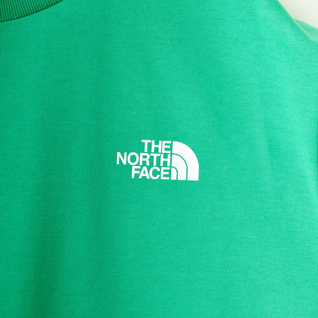 THE NORTH FACE [ザ ノースフェイス] ショートスリーブ エントランスパーミッションTシャツ [NT32439] OE