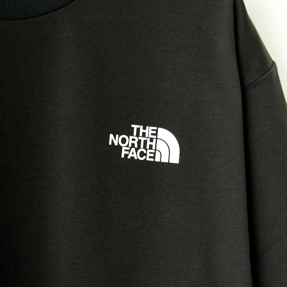 THE NORTH FACE [ザ ノースフェイス] ショートスリーブ エントランスパーミッションTシャツ [NT32439] K