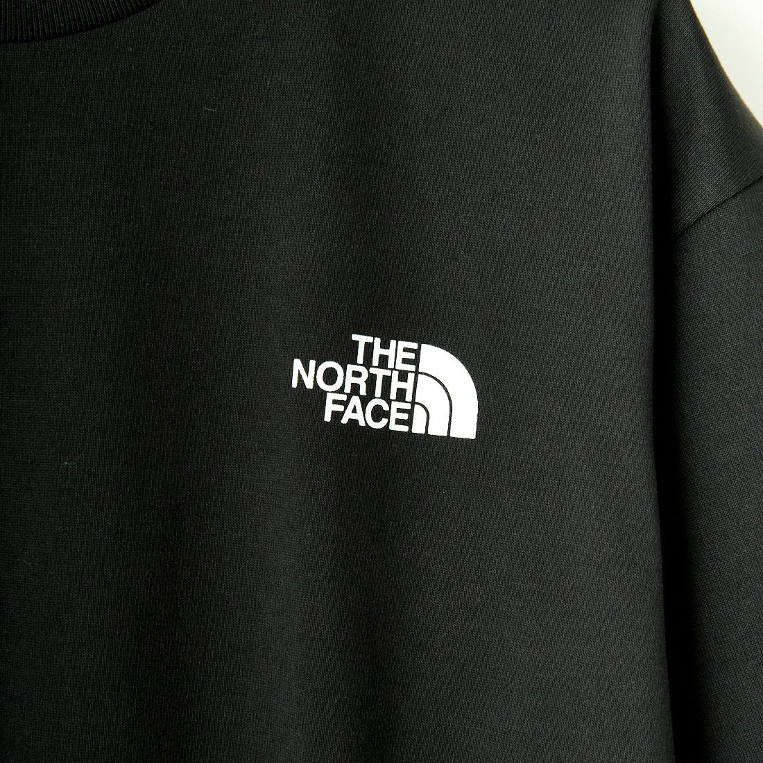 THE NORTH FACE [ザ ノースフェイス] ショートスリーブ TNFライトニングTシャツ [NT32457] K