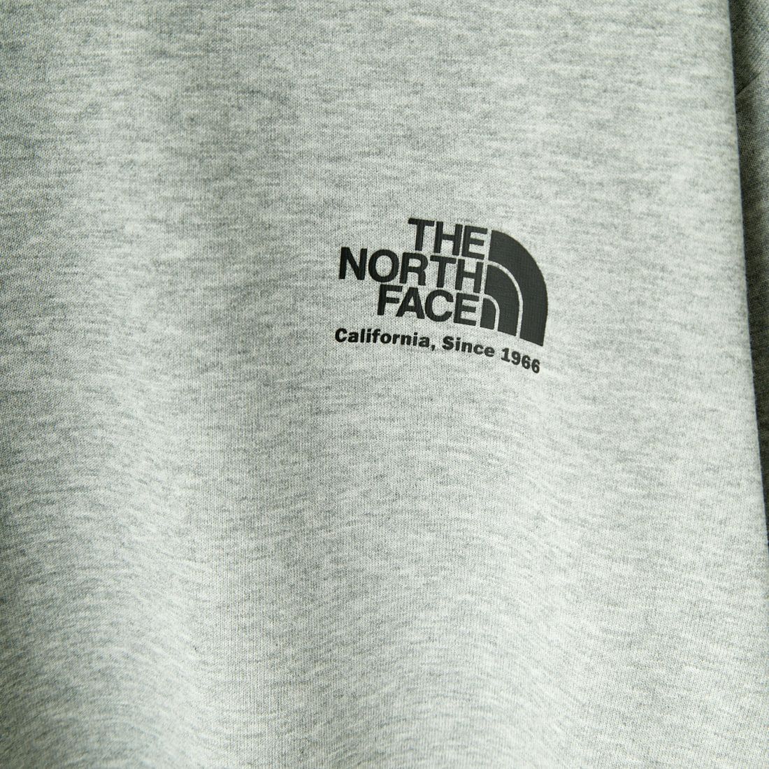 THE NORTH FACE [ザ ノースフェイス] ショートスリーブ ヒストリカルロゴTシャツ [NT32407] Z