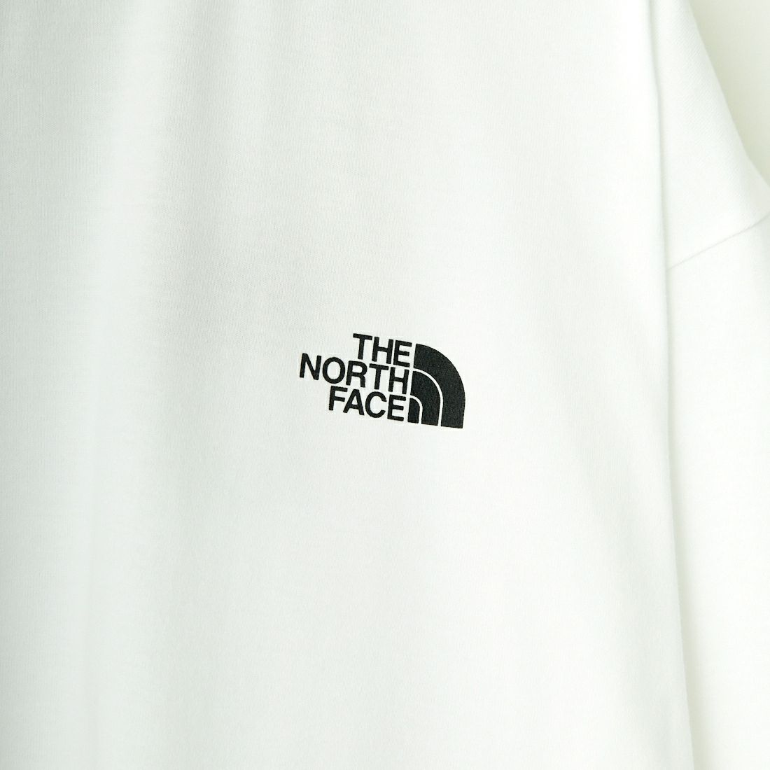 THE NORTH FACE [ザ ノースフェイス] ショートスリーブ ヨセミテシーナリーTシャツ [NT32436]