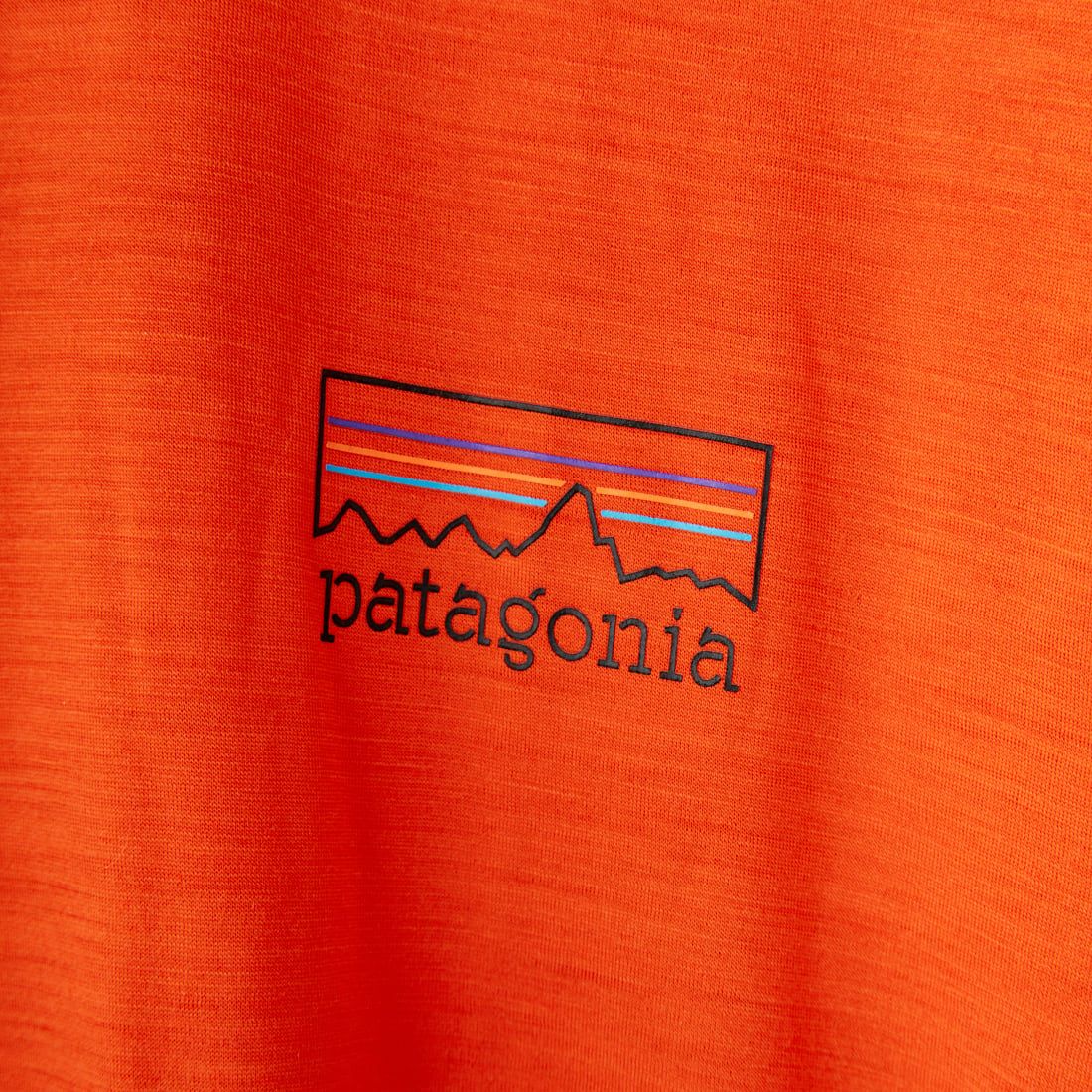patagonia [パタゴニア] メンズ キャプリーン クールメリノ グラフィックTシャツ [44590] FZPO