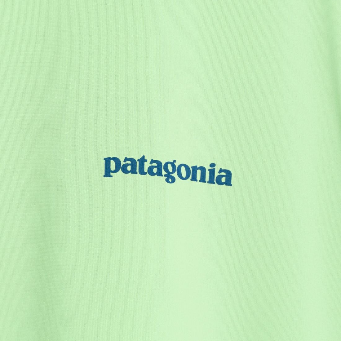 patagonia [パタゴニア] メンズ キャプリーン クールデイリー グラフィックTシャツ [45355] BLSA