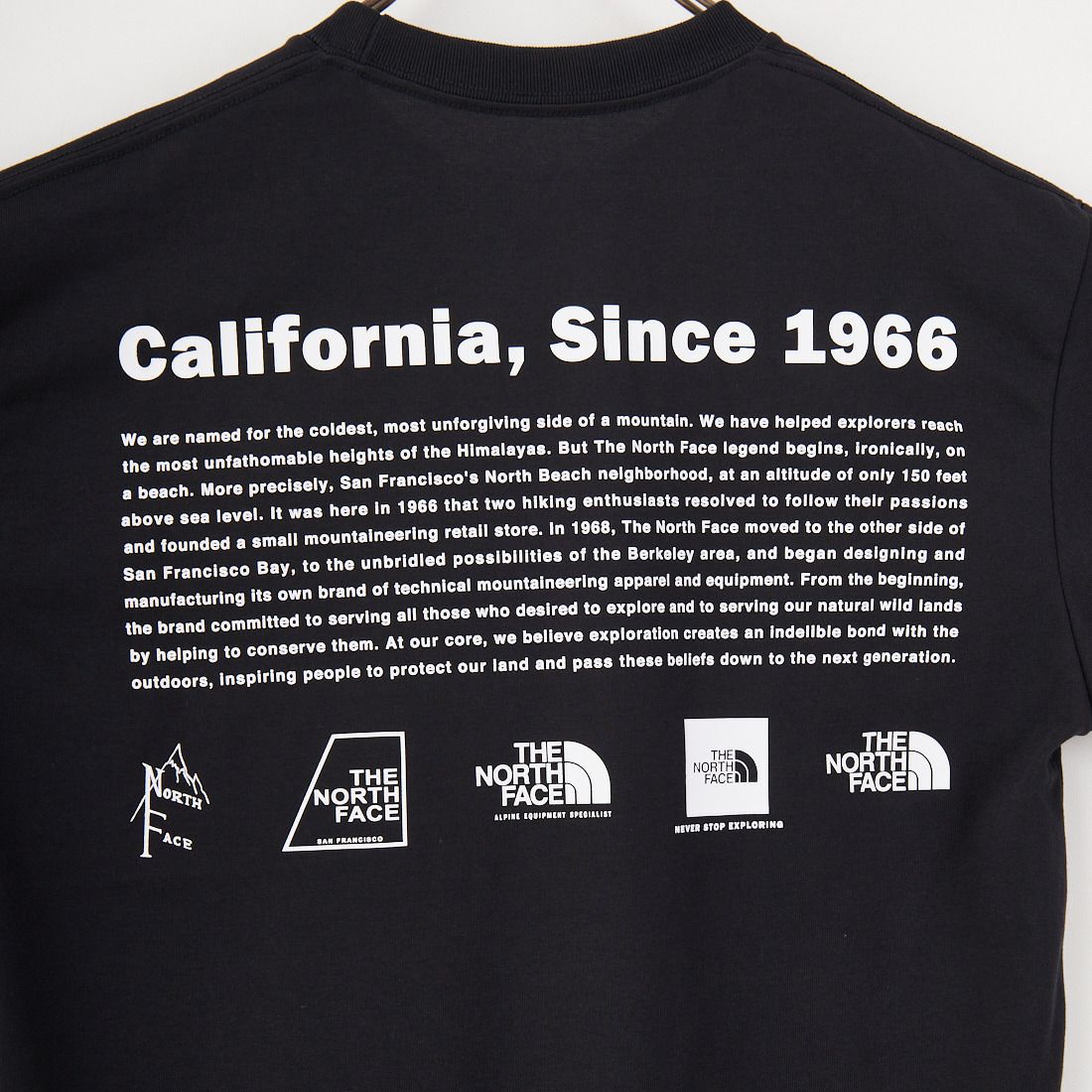 THE NORTH FACE [ザ ノースフェイス] ショートスリーブ ヒストリカルロゴTシャツ [NT32407] K
