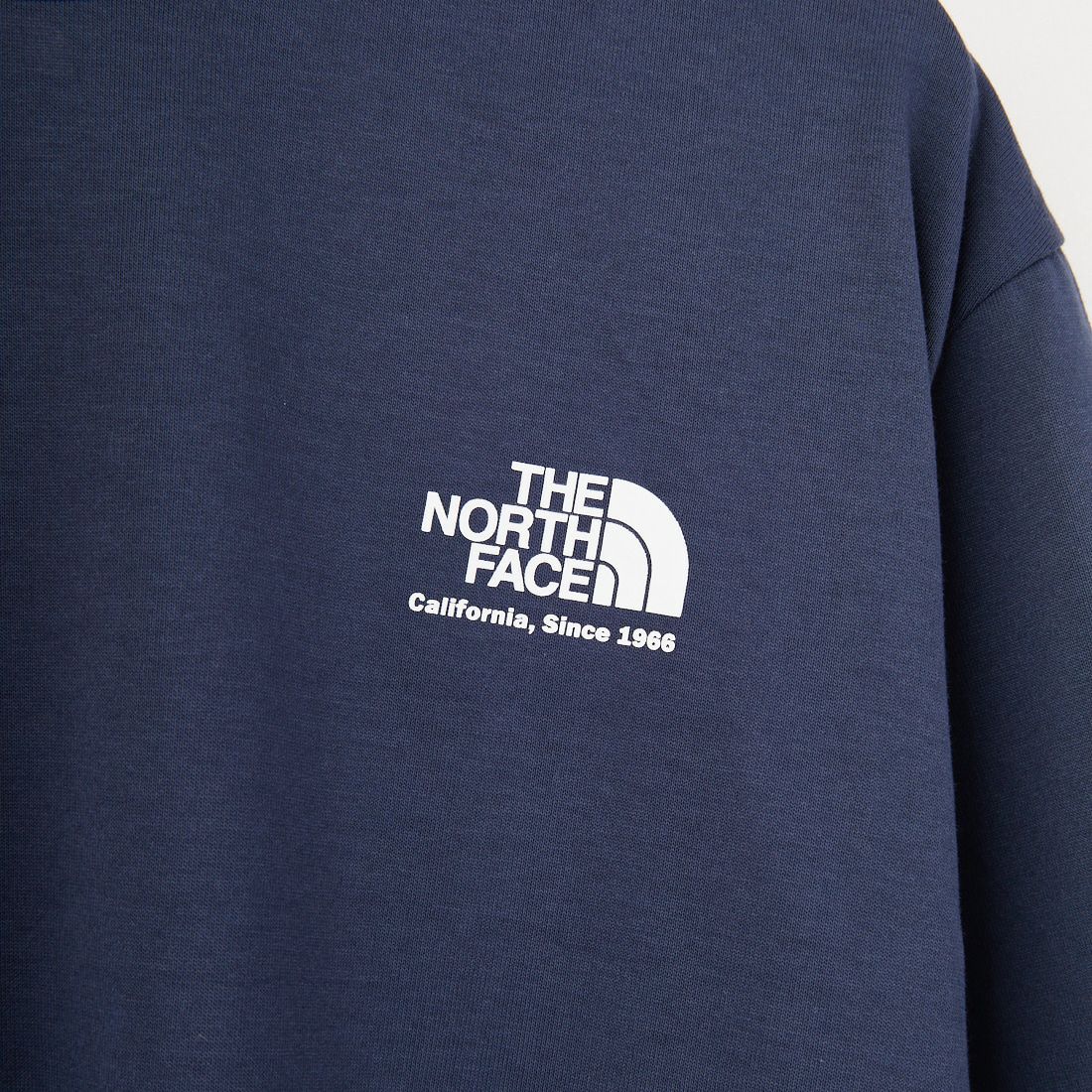 THE NORTH FACE [ザ ノースフェイス] ショートスリーブ ヒストリカルロゴTシャツ [NT32407] UN