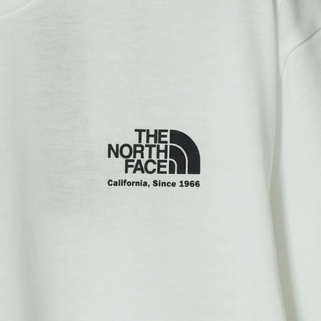 THE NORTH FACE [ザ ノースフェイス] ショートスリーブ ヒストリカルロゴTシャツ [NT32407]