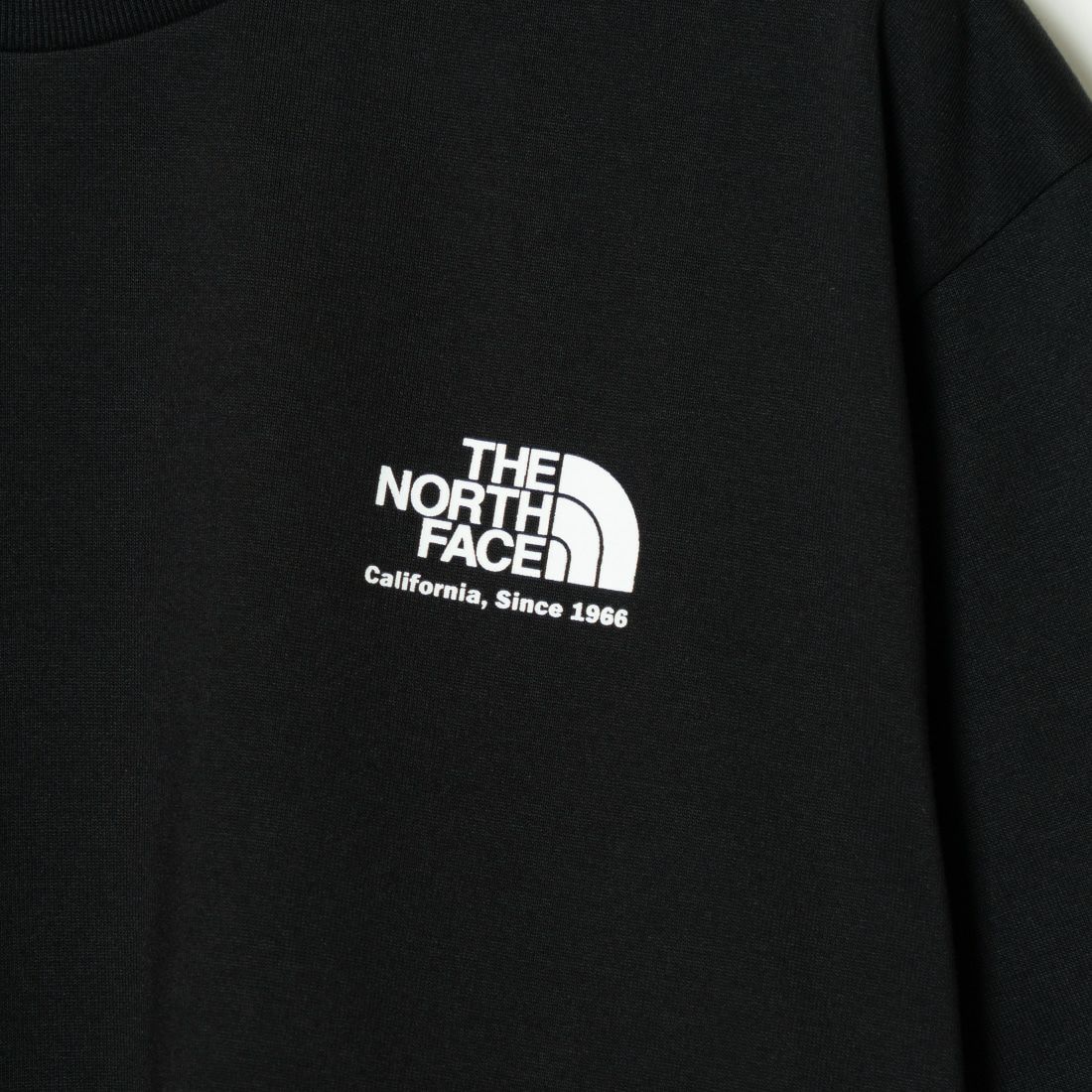 THE NORTH FACE [ザ ノースフェイス] ショートスリーブ ヒストリカルロゴTシャツ [NT32407]