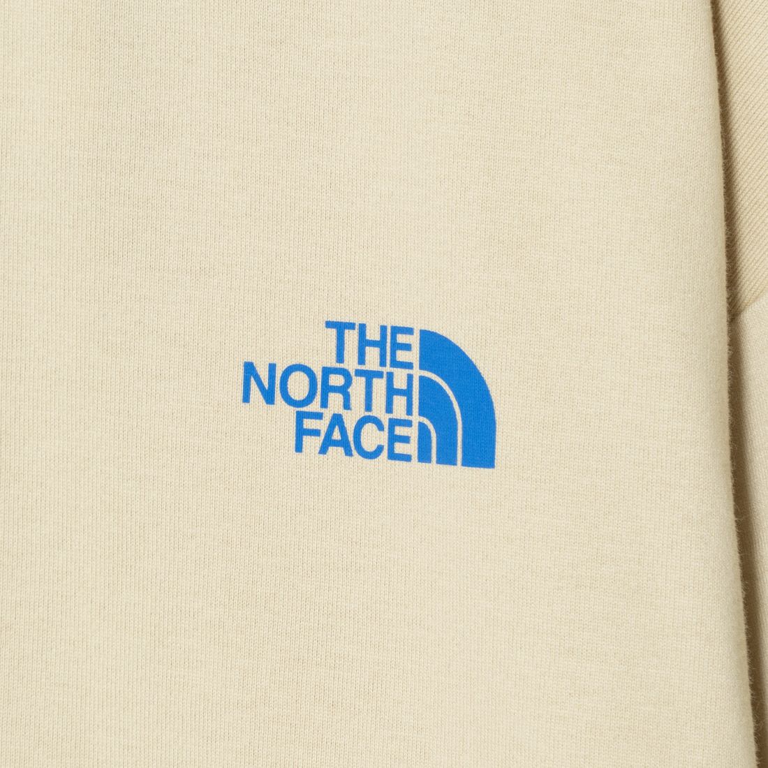 THE NORTH FACE [ザ ノースフェイス] ショートスリーブ シンプルカラースキームTシャツ [NT32434] GL