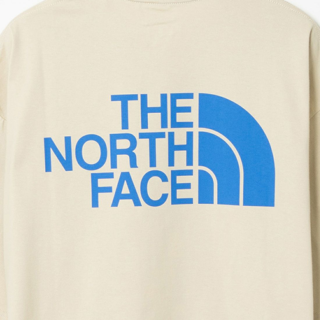 THE NORTH FACE [ザ ノースフェイス] ショートスリーブ シンプルカラースキームTシャツ [NT32434] GL