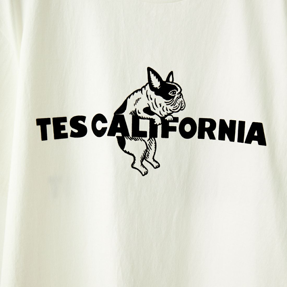 The Endless Summer [エンドレスサマー] カリフォルニアフロッキーロゴTシャツ [FH-24574361]