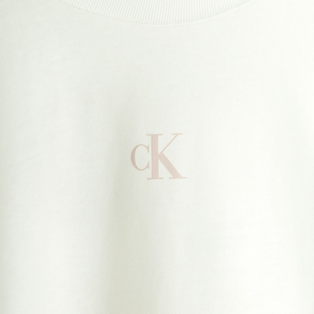 Calvin Klein [カルバンクライン] ショートスリーブ ディフューズロゴTシャツ [J400399] YAF
