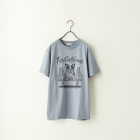 65 BLUE