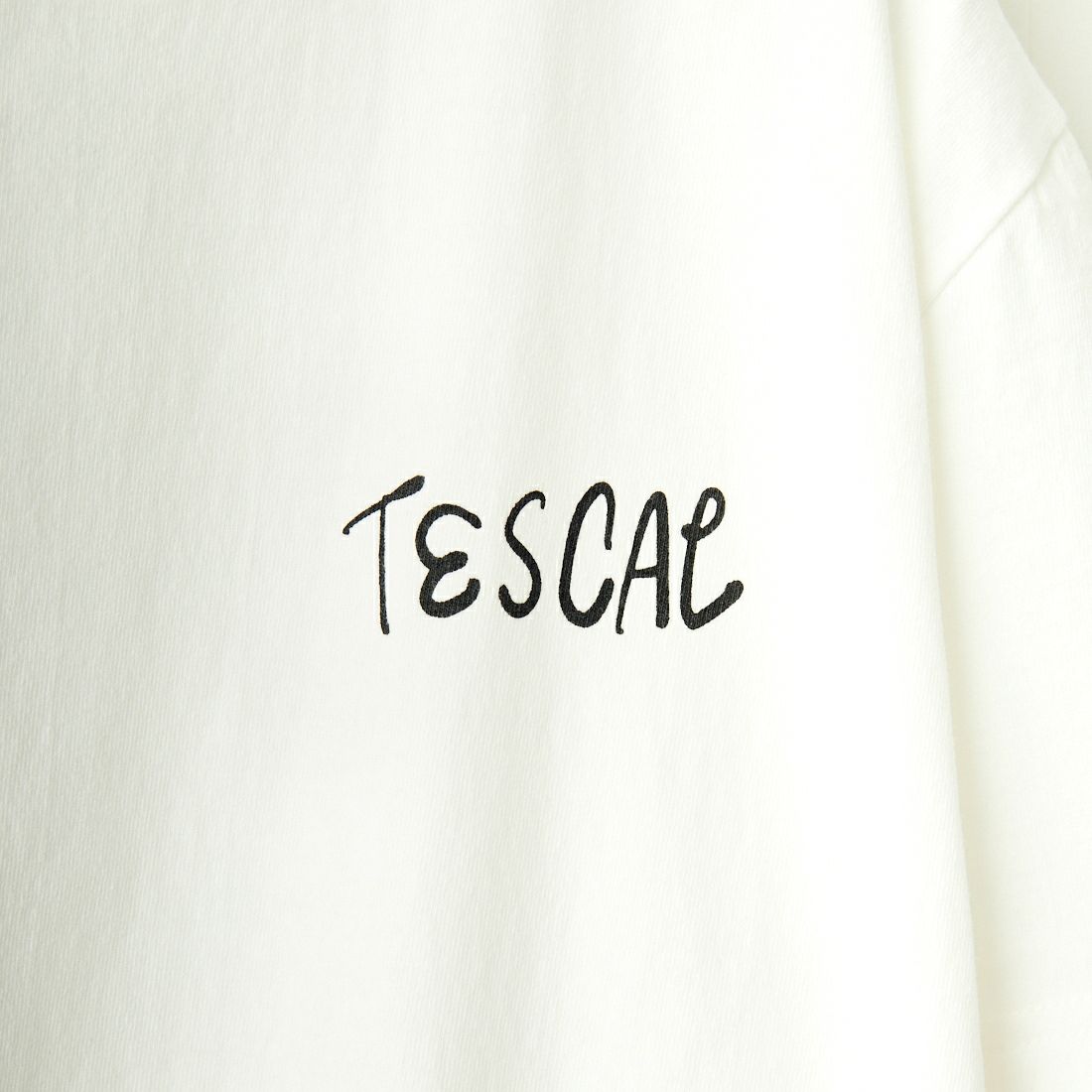 The Endless Summer [エンドレスサマー] 別注 手書き風ロゴ BUHIバックプリントTシャツ [FH-24574509-JF] 07 WHITE