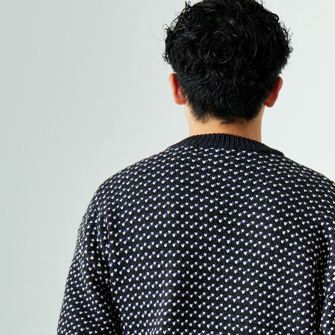 L.L.BEAN [エルエルビーン] Wayne バーズアイセーター [4575-8040] 92 CH/NT/P