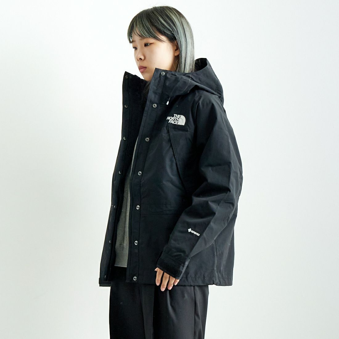 THE NORTH FACE [ザ ノースフェイス] マウンテンライトジャケット [NPW62450]