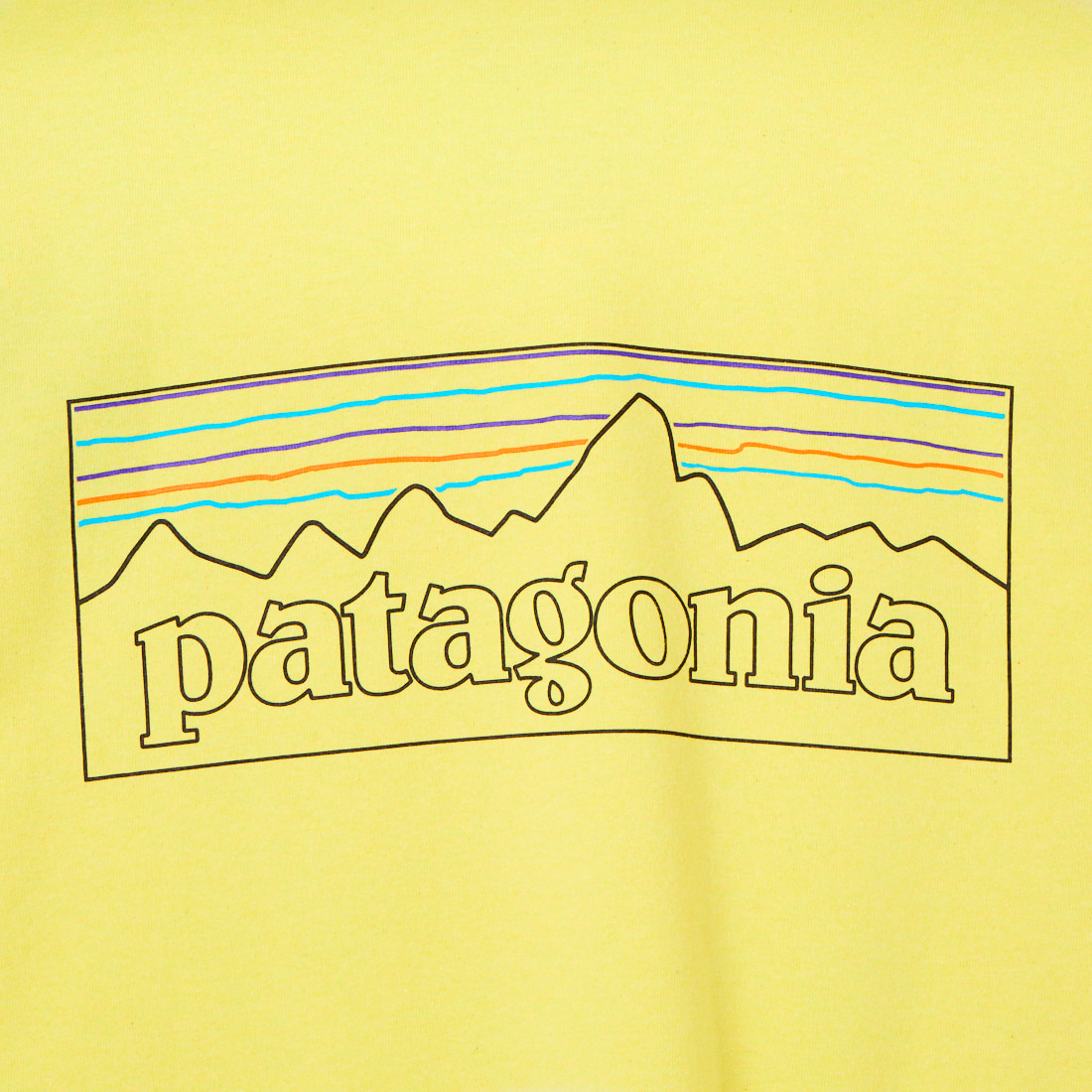 patagonia [パタゴニア] メンズ ロングスリーブ P-6ロゴ レスポンシビリティーTシャツ [38518] WHI