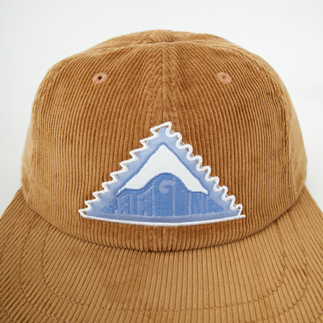 patagonia [パタゴニア] コーデュロイ キャップ [33535] DPCO