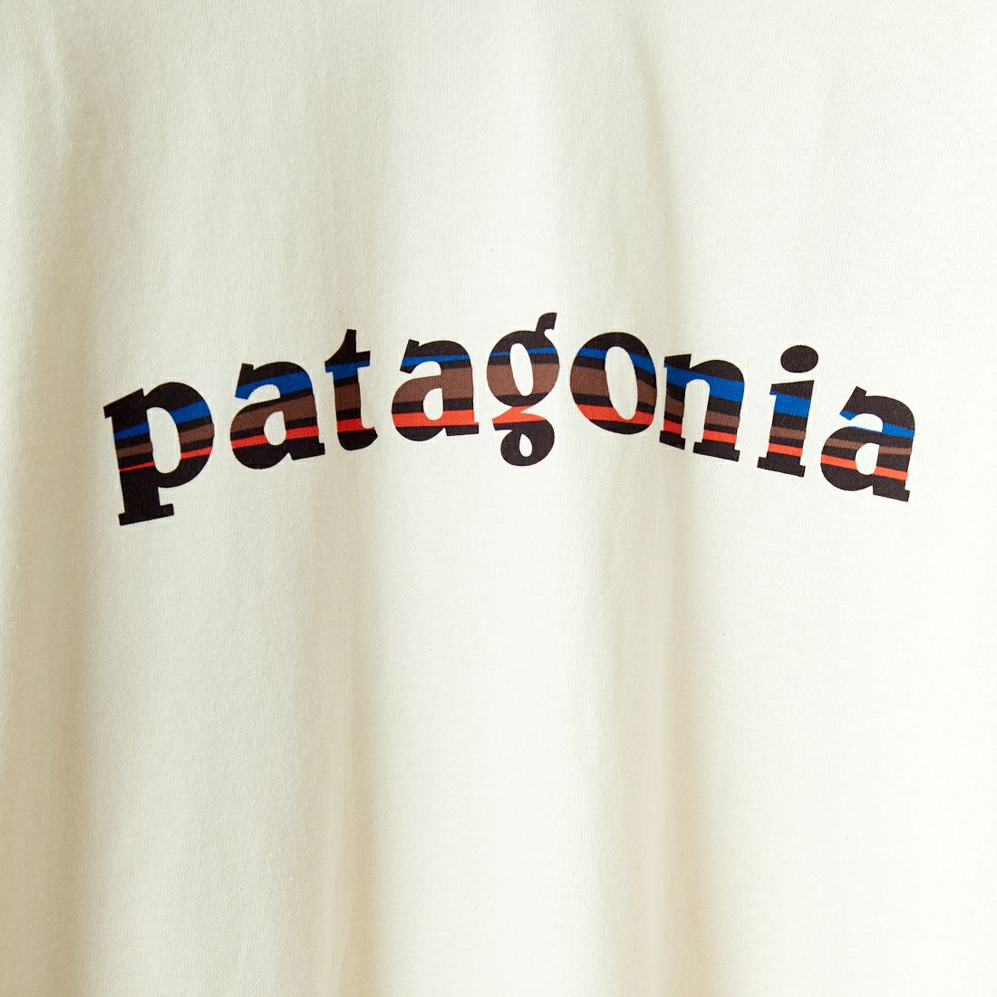 patagonia [パタゴニア] メンズ 73テキストロゴ レスポンシビリティーT