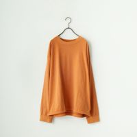 041 ｵﾚﾝｼﾞ