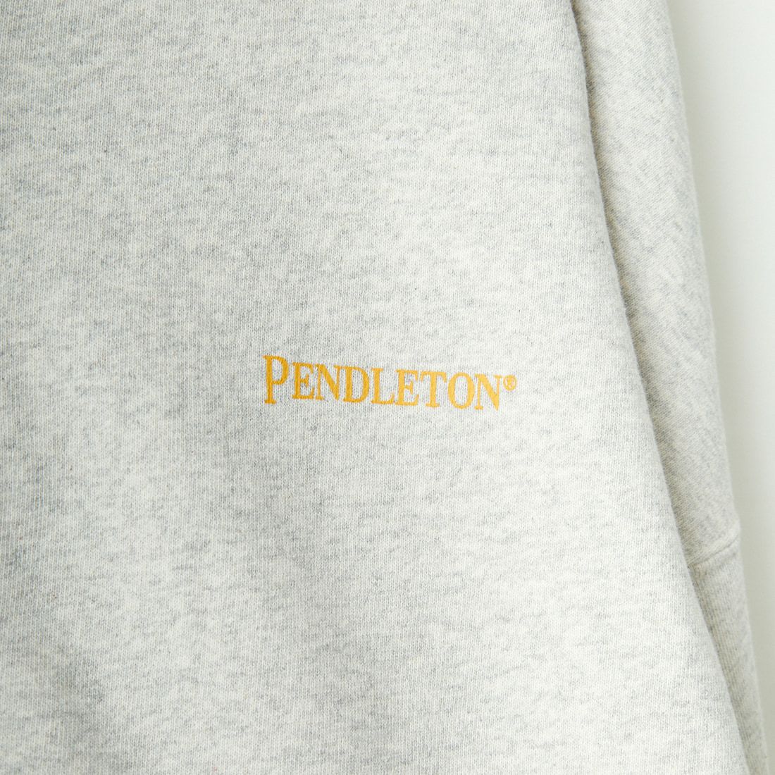 PENDLETON [ペンドルトン] ネイティブ柄 バックプリントジップアップスウェット [4475-7111] 64 SAX