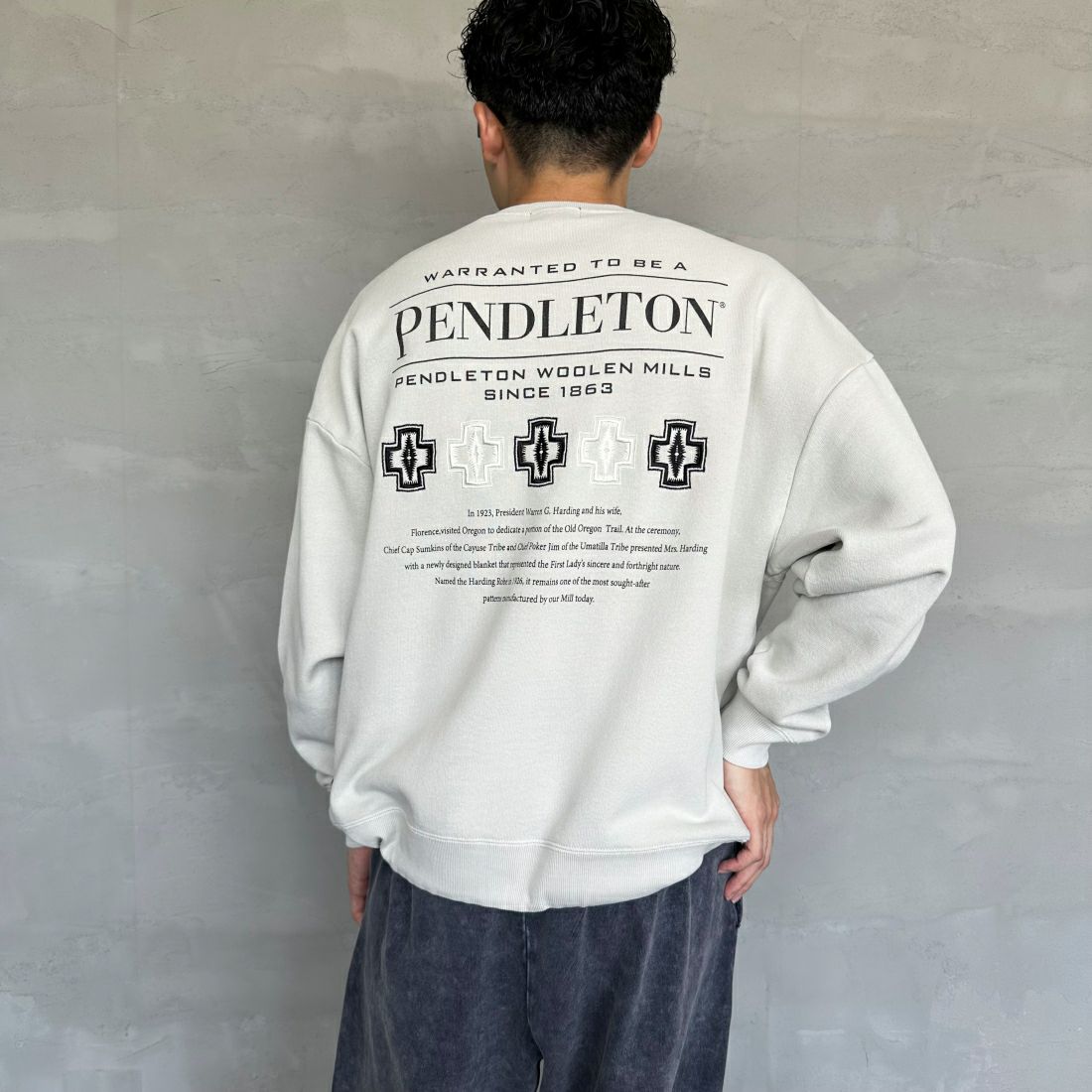 PENDLETON [ペンドルトン] 別注 ネイティブ柄 バックプリントピグメントスウェット [4475-7238-JF] GREY &&モデル身長：168cm 着用サイズ：M&&