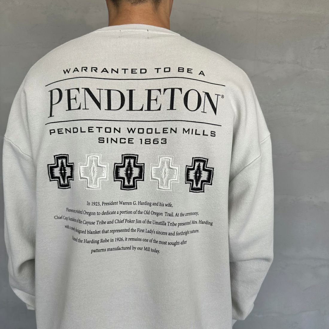 PENDLETON [ペンドルトン] 別注 ネイティブ柄 バックプリントピグメントスウェット [4475-7238-JF] GREY