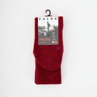 8280 SCARL
