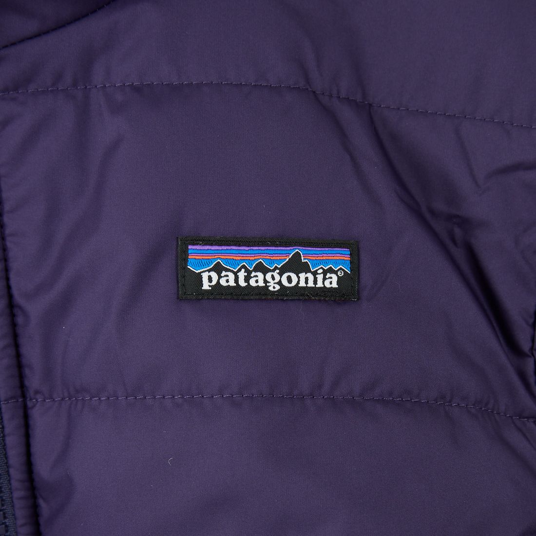 patagonia [パタゴニア] キッズ リバーシブル レディ フレディ フーディ [68095] PMTP