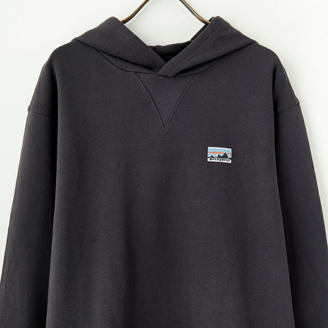 patagonia [パタゴニア] デイリー フーディスウェットシャツ [22770] INBK