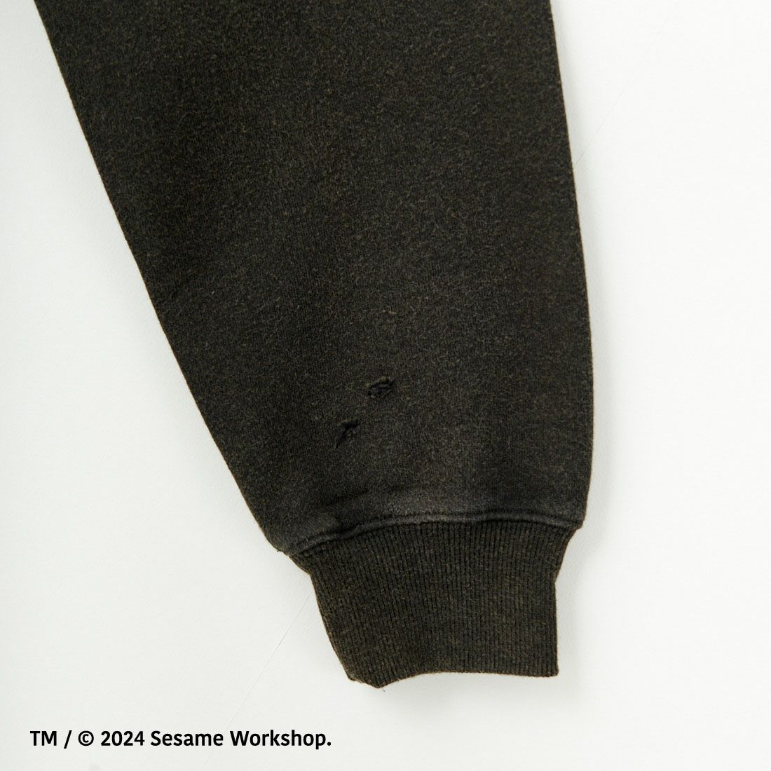 Jeans Factory Clothes [ジーンズファクトリークローズ] キャラダメージスウェット SESAME STREET [JFC-244-086] SESAME STR