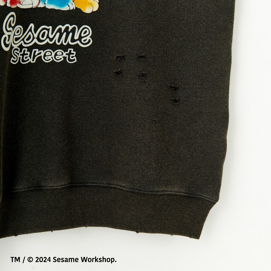 Jeans Factory Clothes [ジーンズファクトリークローズ] キャラダメージスウェット SESAME STREET [JFC-244-086] SESAME STR