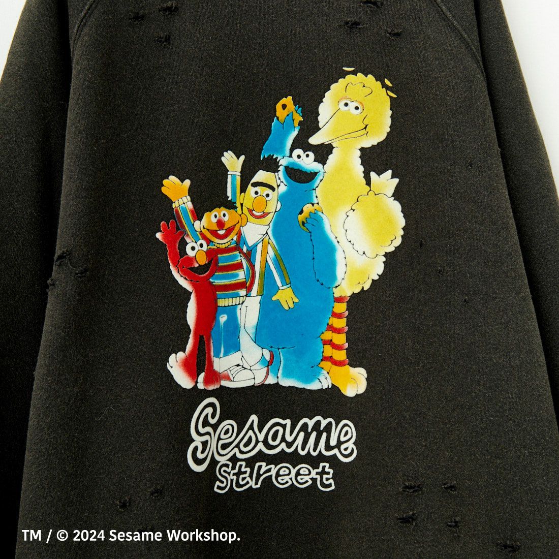 Jeans Factory Clothes [ジーンズファクトリークローズ] キャラダメージスウェット SESAME STREET [JFC-244-086] SESAME STR