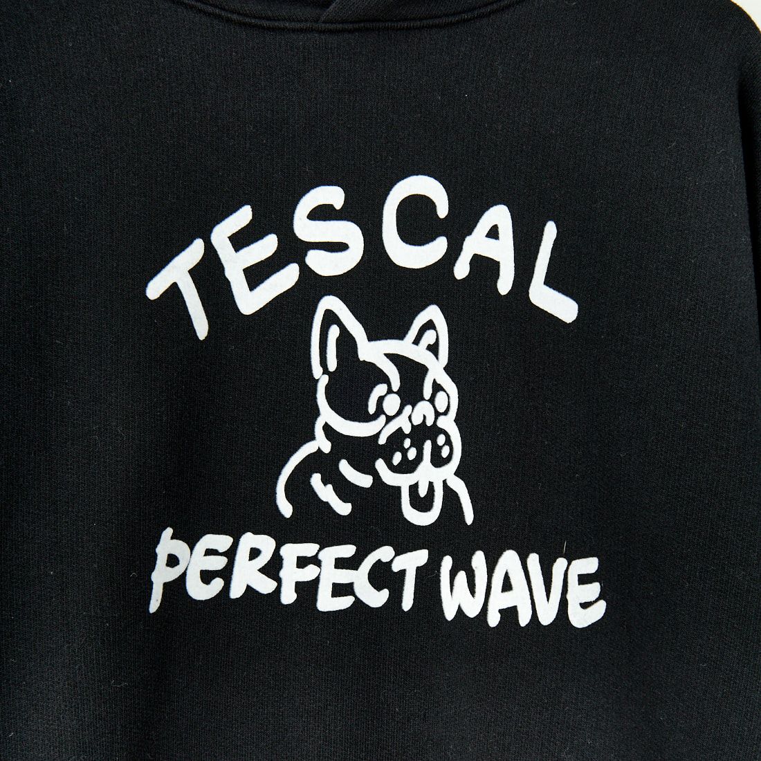 The Endless Summer [エンドレスサマー] 別注 BUHI フロッキーロゴプリント スウェットパーカー [FH-24774506-JF] 01 BLACK