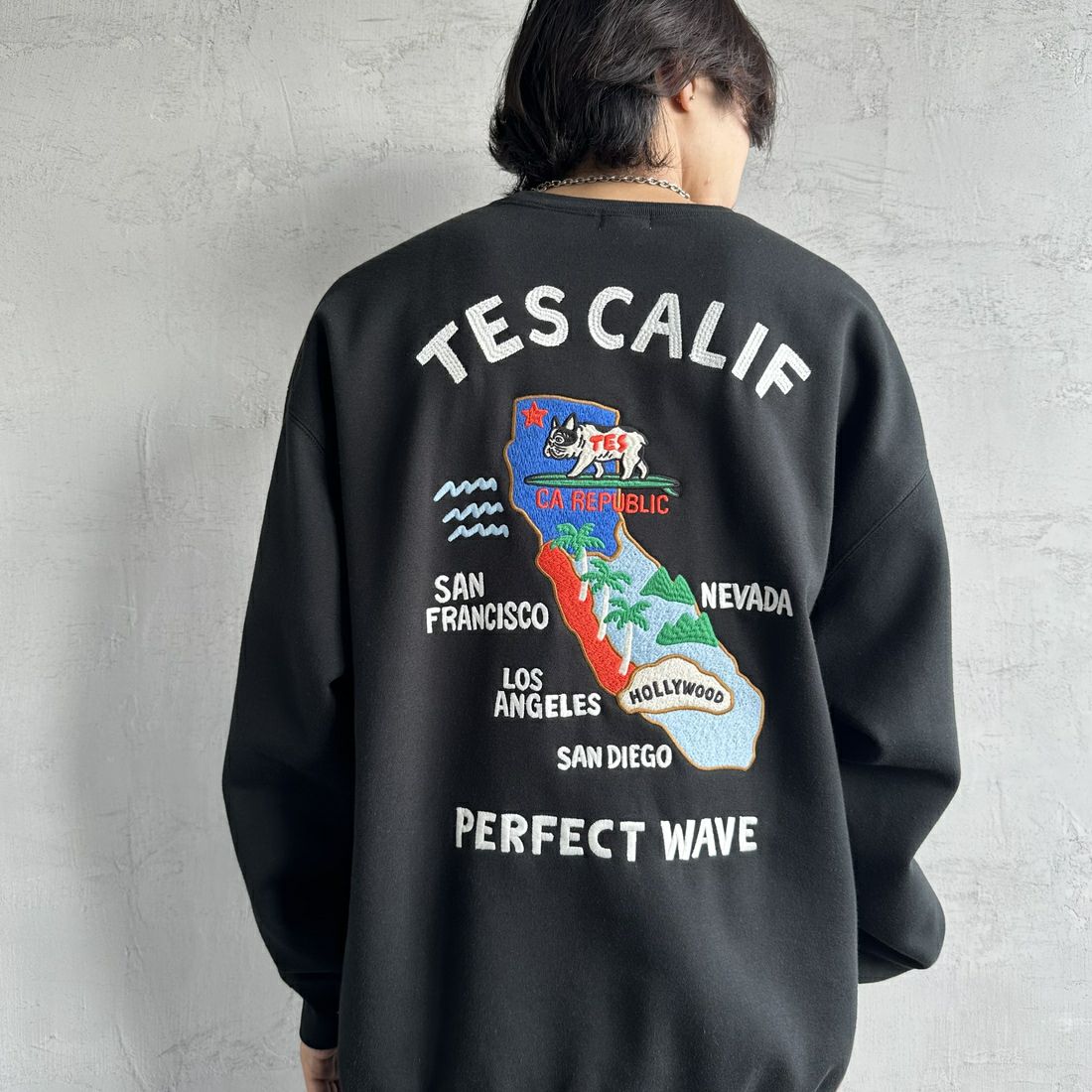 The Endless Summer [エンドレスサマー] 別注 TES CALIF MAP バック刺繍スウェット [C-24774504-JF] 01 BLACK