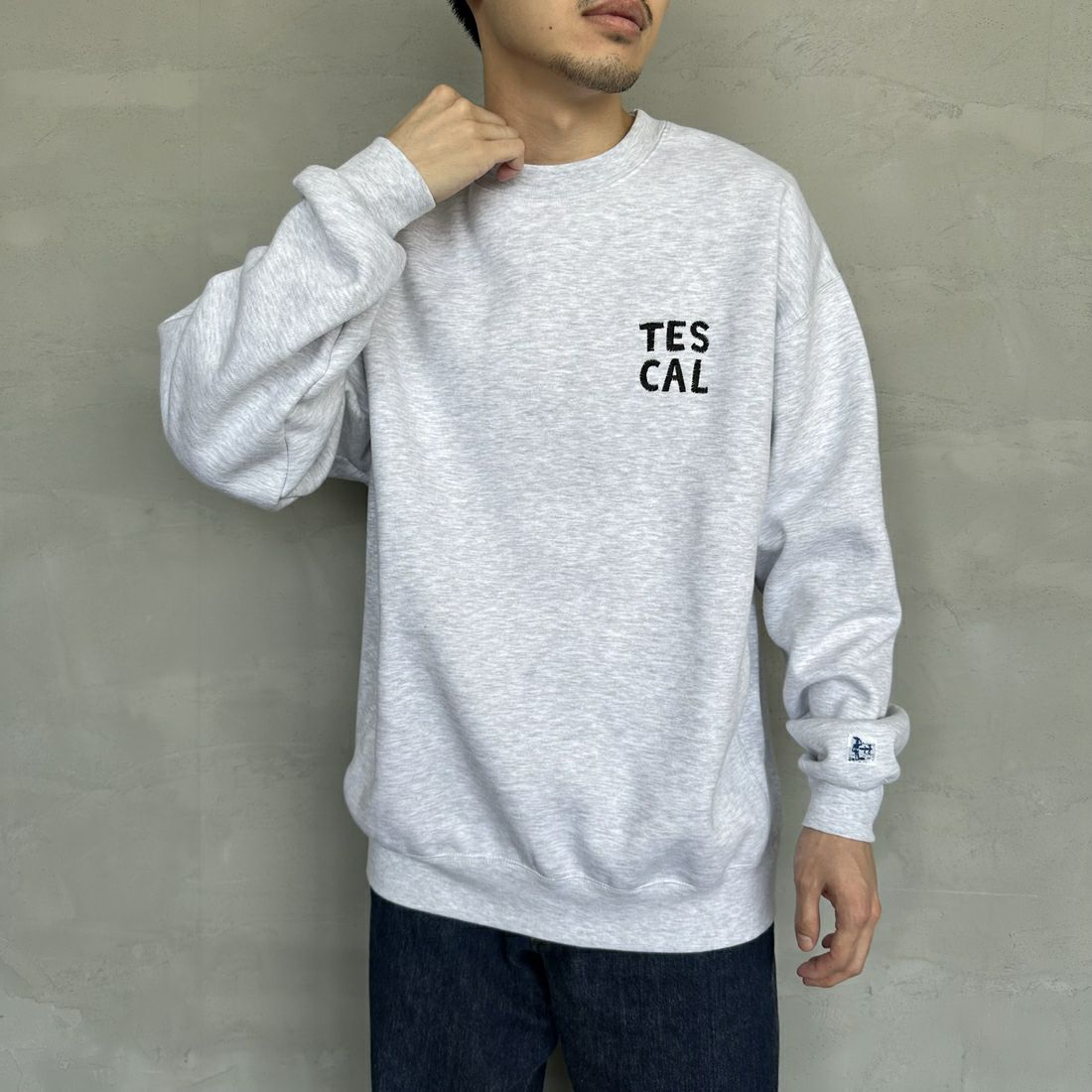 The Endless Summer [エンドレスサマー] 別注 TES CALIF MAP バック刺繍スウェット [C-24774504-JF] 03 GRAY &&モデル身長：168cm 着用サイズ：L&&