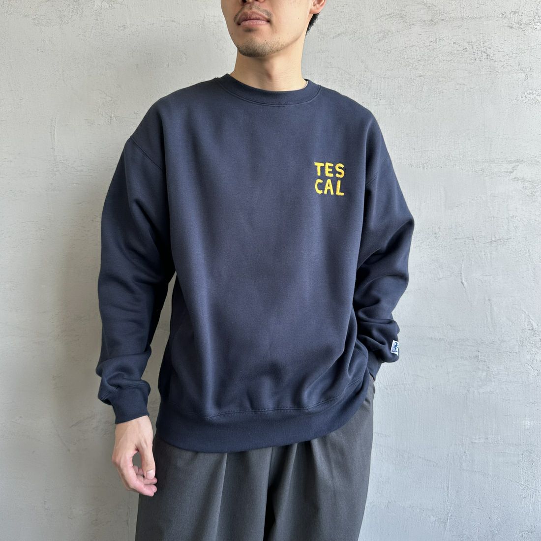 The Endless Summer [エンドレスサマー] 別注 TES CALIF MAP バック刺繍スウェット [C-24774504-JF] 60 NAVY &&モデル身長：168cm 着用サイズ：M&&