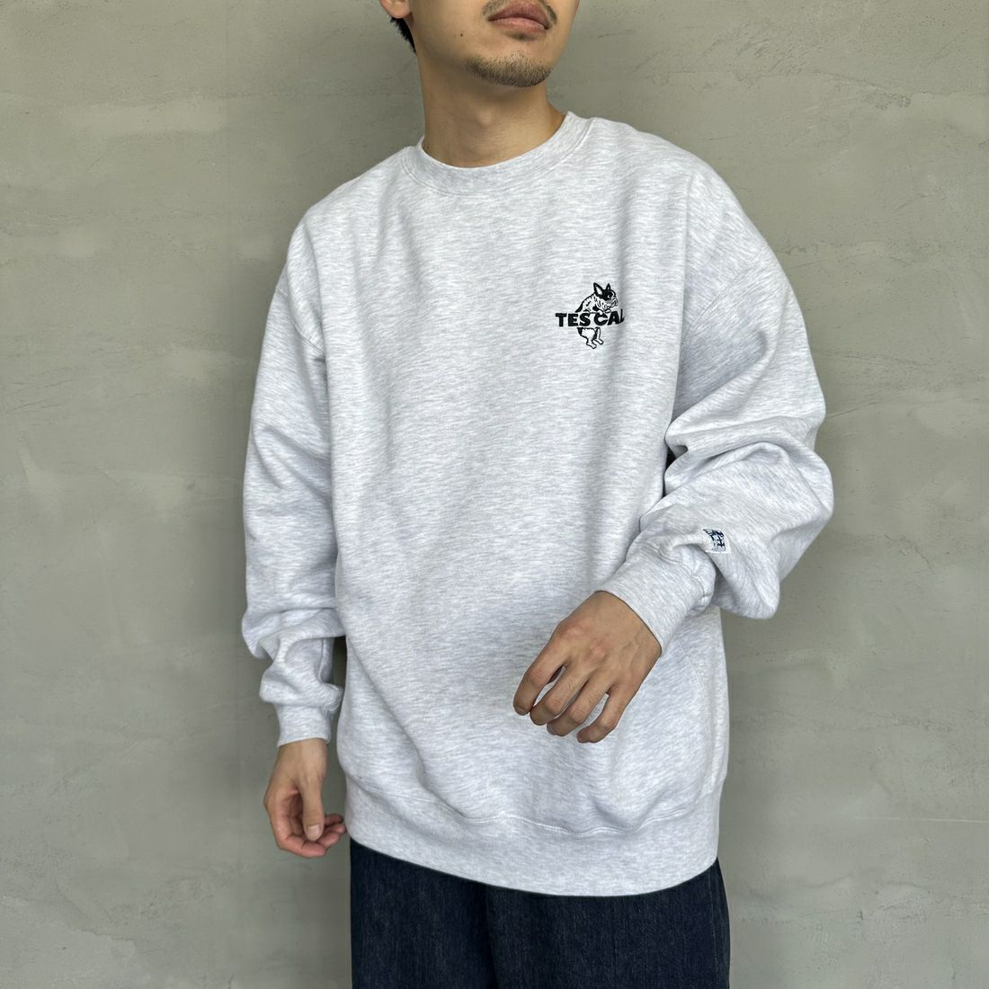 The Endless Summer [エンドレスサマー] 別注 TES CALバックロゴ刺繍スウェット [C-24774505-JF] 03 GRAY &&モデル身長：168cm 着用サイズ：L&&