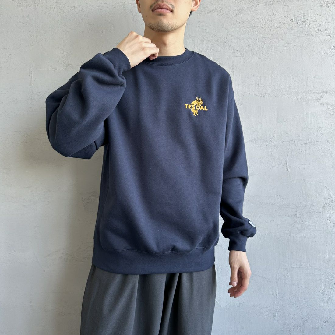 The Endless Summer [エンドレスサマー] 別注 TES CALバックロゴ刺繍スウェット [C-24774505-JF] 60 NAVY &&モデル身長：168cm 着用サイズ：M&&