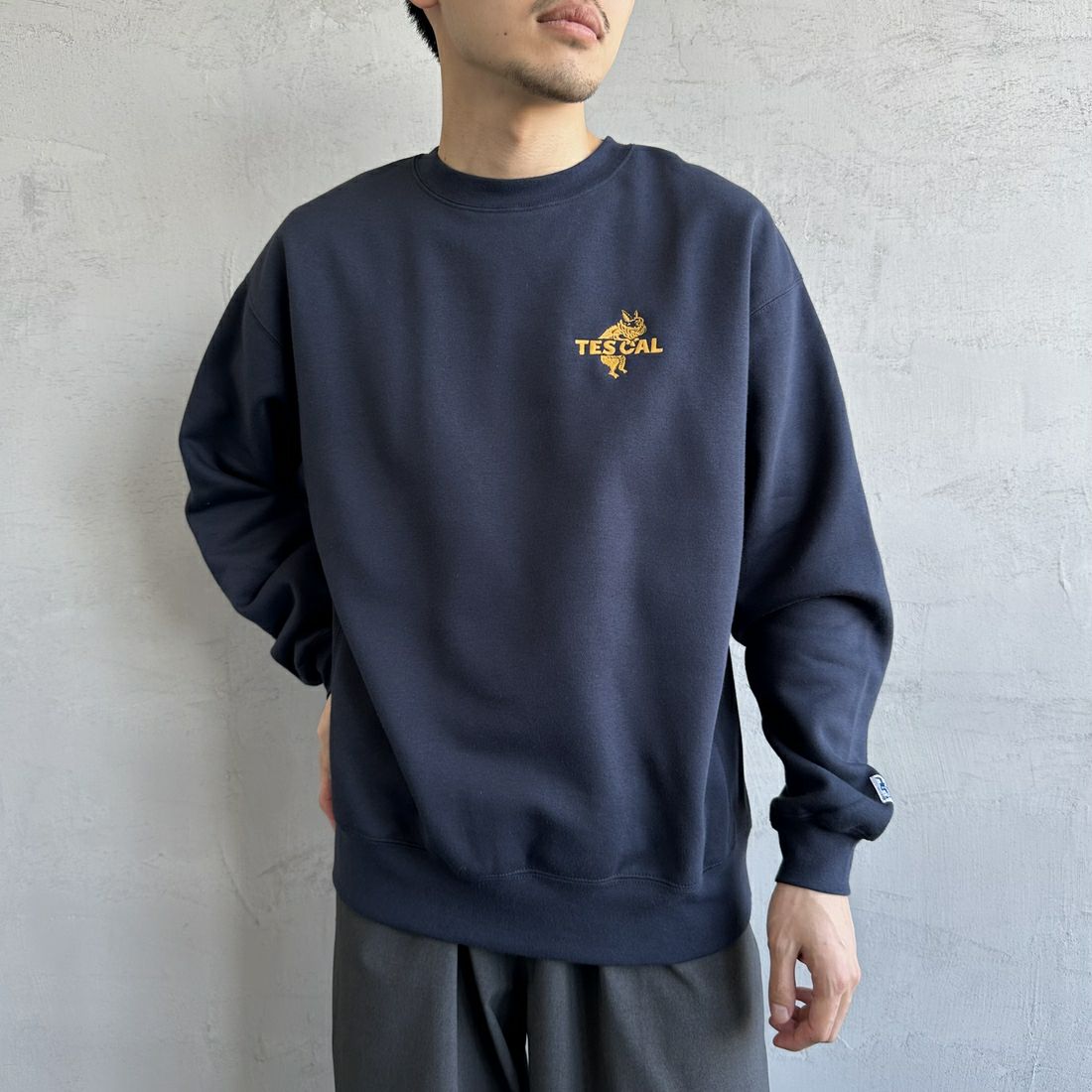 The Endless Summer [エンドレスサマー] 別注 TES CALバックロゴ刺繍スウェット [C-24774505-JF] 60 NAVY &&モデル身長：168cm 着用サイズ：M&&